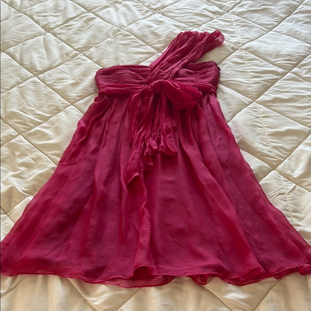Zara Vintage Pink Asymmetrical Ruffled One Shoulder Neckline 100% Chiffon Silk